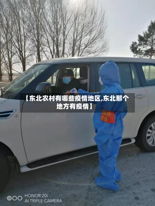 【东北农村有哪些疫情地区,东北那个地方有疫情】