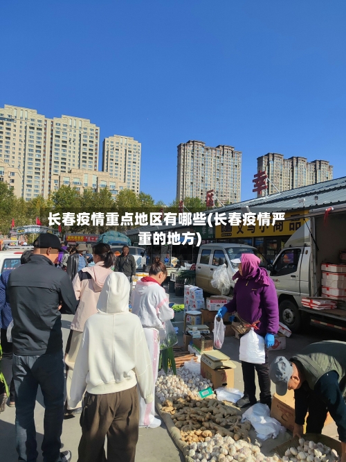 长春疫情重点地区有哪些(长春疫情严重的地方)-第2张图片