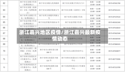 浙江嘉兴地区疫情/浙江嘉兴最新疫情动态-第3张图片