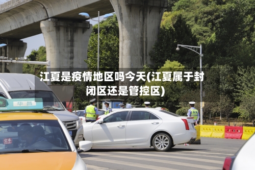 江夏是疫情地区吗今天(江夏属于封闭区还是管控区)-第3张图片