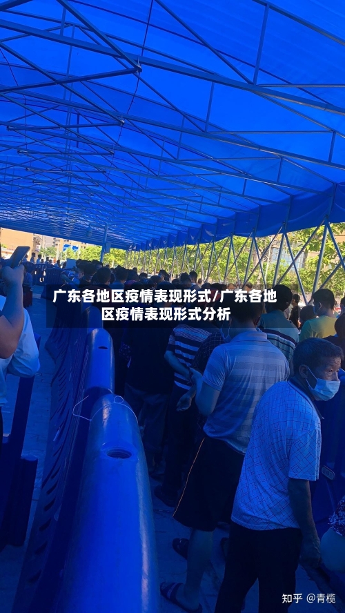 广东各地区疫情表现形式/广东各地区疫情表现形式分析
