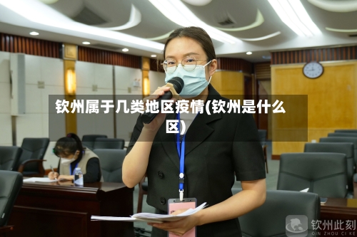 钦州属于几类地区疫情(钦州是什么区)