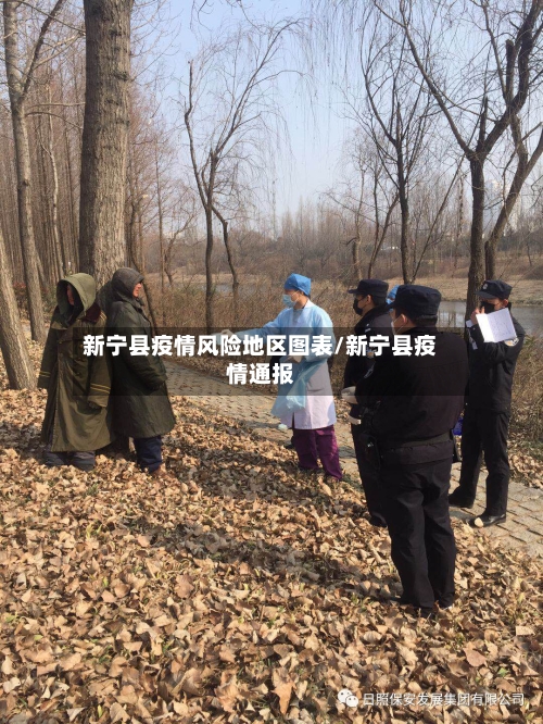 新宁县疫情风险地区图表/新宁县疫情通报