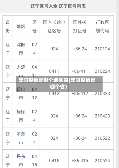 沈阳疫情是哪个地区的(沈阳疫情是哪个省)-第2张图片