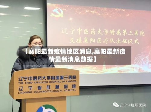 【襄阳最新疫情地区消息,襄阳最新疫情最新消息数据】-第2张图片