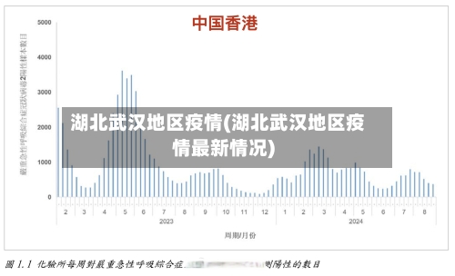 湖北武汉地区疫情(湖北武汉地区疫情最新情况)
