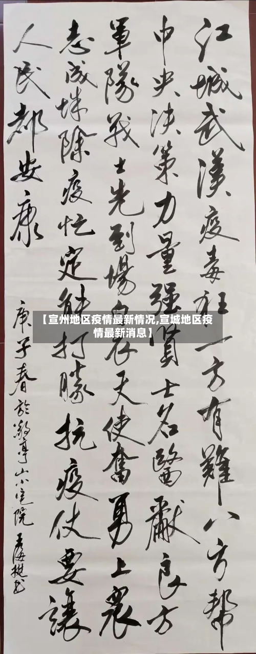 【宣州地区疫情最新情况,宣城地区疫情最新消息】