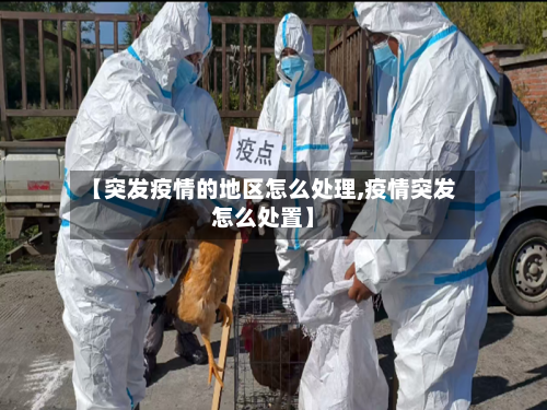 【突发疫情的地区怎么处理,疫情突发怎么处置】