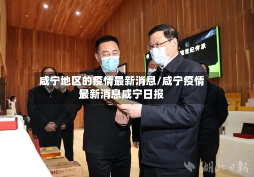 咸宁地区的疫情最新消息/咸宁疫情最新消息咸宁日报-第2张图片