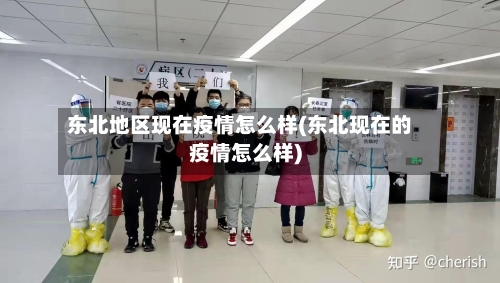东北地区现在疫情怎么样(东北现在的疫情怎么样)-第3张图片