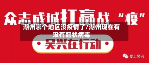 湖州哪个地区没疫情了/湖州现在有没有冠状病毒-第3张图片