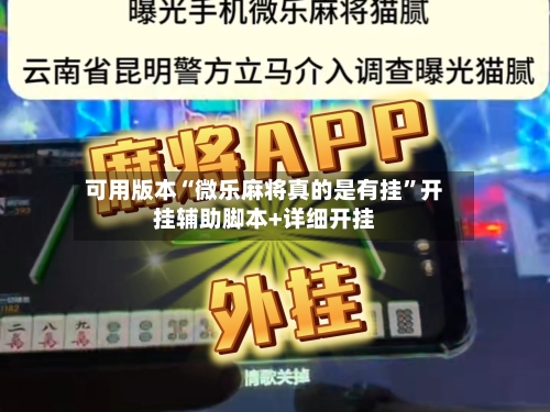 可用版本“微乐麻将真的是有挂”开挂辅助脚本+详细开挂-第2张图片