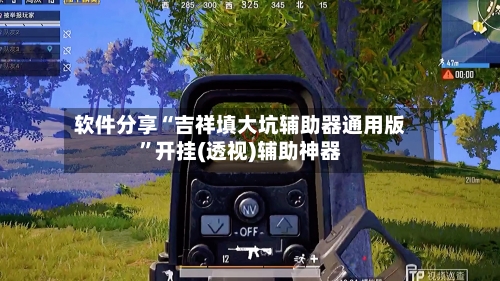 软件分享“吉祥填大坑辅助器通用版”开挂(透视)辅助神器-第3张图片