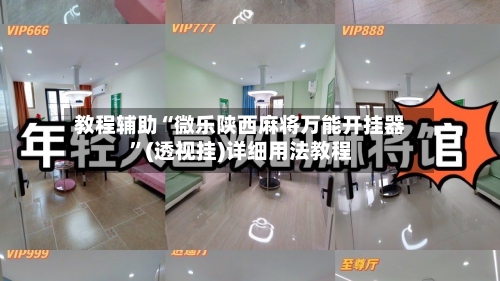 教程辅助“微乐陕西麻将万能开挂器	”(透视挂)详细用法教程-第2张图片