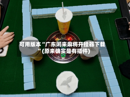 可用版本“广东闲来麻将开挂器下载”(原来确实是有插件)-第3张图片