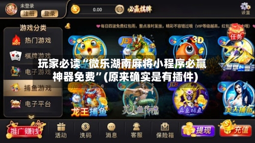 玩家必读“微乐湖南麻将小程序必赢神器免费”(原来确实是有插件)-第3张图片