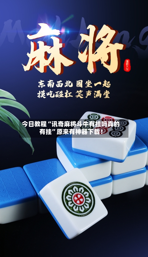 今日教程“讯奇麻将斗牛有挂吗真的有挂”原来有神器下载！-第3张图片