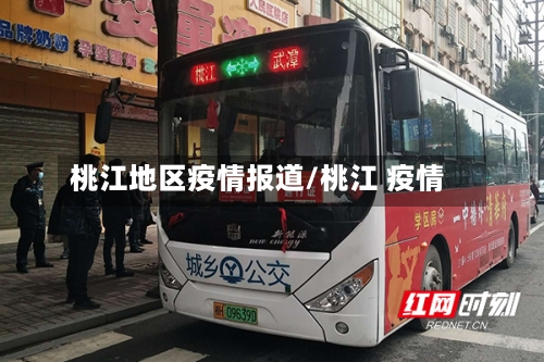 桃江地区疫情报道/桃江 疫情