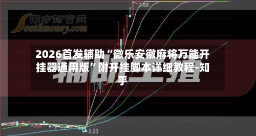 2026首发辅助“微乐安徽麻将万能开挂器通用版”附开挂脚本详细教程-知乎-第3张图片