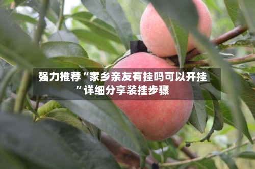 强力推荐“家乡亲友有挂吗可以开挂”详细分享装挂步骤