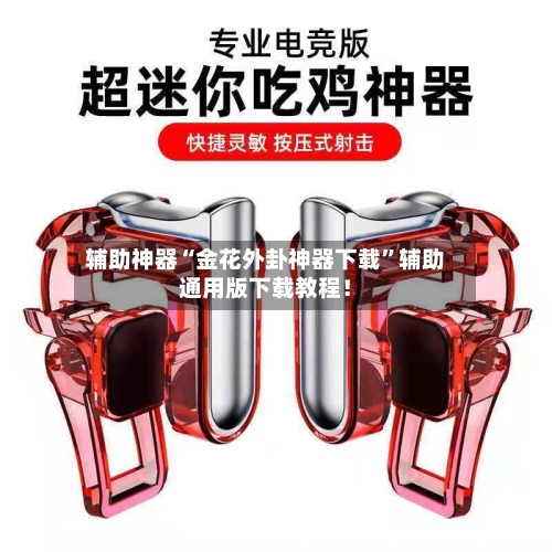 辅助神器“金花外卦神器下载”辅助通用版下载教程！-第3张图片