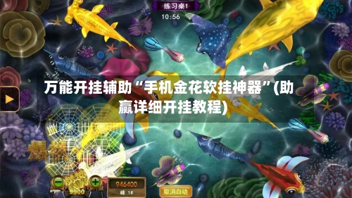 万能开挂辅助“手机金花软挂神器”(助赢详细开挂教程)
