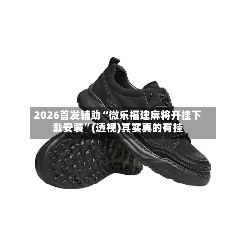 2026首发辅助“微乐福建麻将开挂下载安装”(透视)其实真的有挂-第3张图片