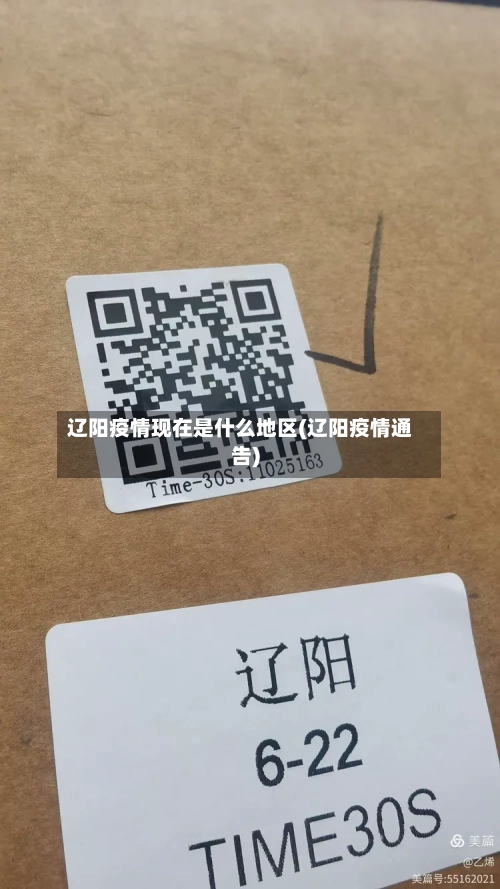 辽阳疫情现在是什么地区(辽阳疫情通告)-第2张图片