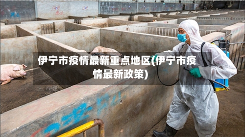 伊宁市疫情最新重点地区(伊宁市疫情最新政策)-第2张图片