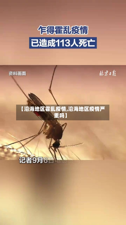 【沿海地区霍乱疫情,沿海地区疫情严重吗】