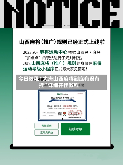 今日教程“大唐山西麻将到底有没有挂”详细开挂教程-第3张图片