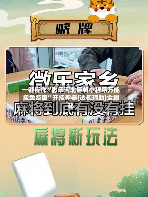 一键操作“微乐河北麻将小程序万能挂免费版”开挂神器{透视辅助}全揭秘