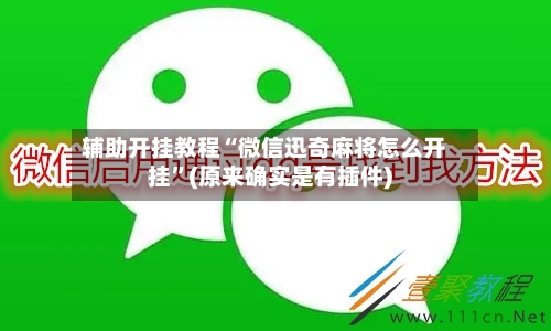 辅助开挂教程“微信迅奇麻将怎么开挂”(原来确实是有插件)-第2张图片