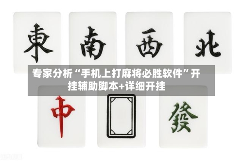 专家分析“手机上打麻将必胜软件”开挂辅助脚本+详细开挂-第2张图片