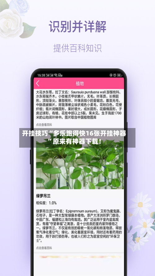 开挂技巧“多乐跑得快16张开挂神器”原来有神器下载！