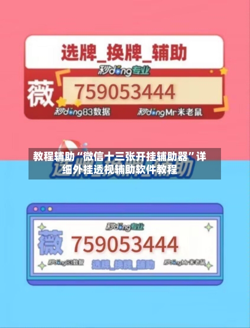 教程辅助“微信十三张开挂辅助器”详细外挂透视辅助软件教程