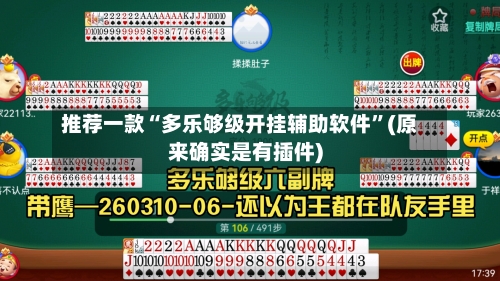 推荐一款“多乐够级开挂辅助软件	”(原来确实是有插件)-第2张图片