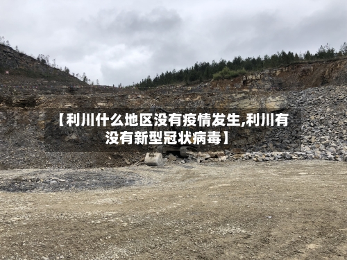 【利川什么地区没有疫情发生,利川有没有新型冠状病毒】-第2张图片