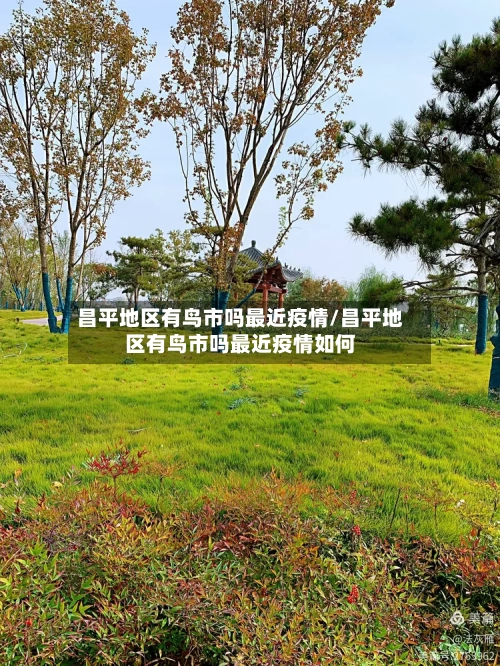 昌平地区有鸟市吗最近疫情/昌平地区有鸟市吗最近疫情如何-第2张图片