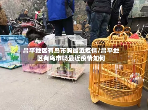 昌平地区有鸟市吗最近疫情/昌平地区有鸟市吗最近疫情如何-第3张图片