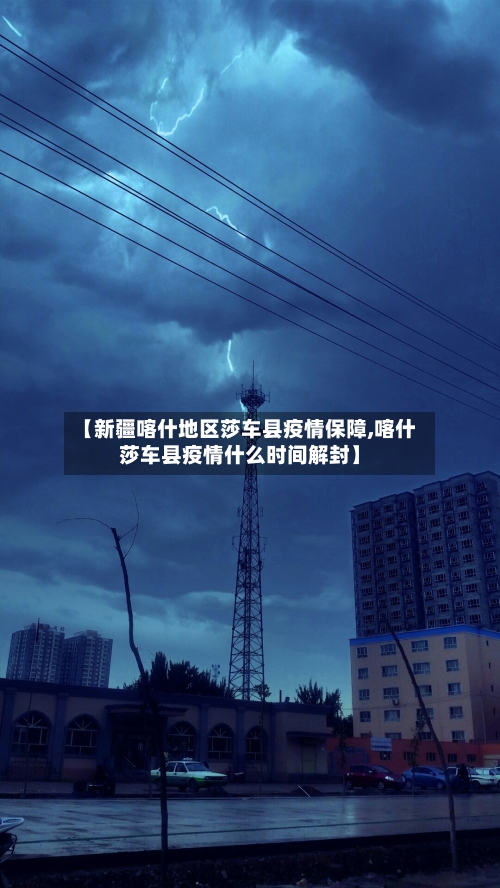 【新疆喀什地区莎车县疫情保障,喀什莎车县疫情什么时间解封】-第2张图片