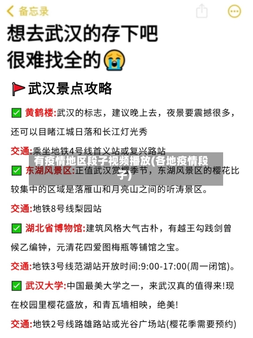 有疫情地区段子视频播放(各地疫情段子)-第3张图片