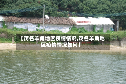【茂名羊角地区疫情情况,茂名羊角地区疫情情况如何】