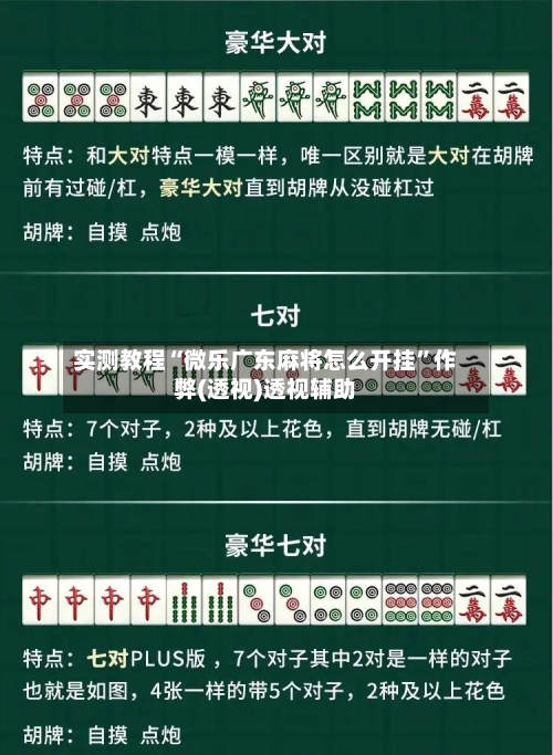 实测教程“微乐广东麻将怎么开挂	”作弊(透视)透视辅助-第2张图片