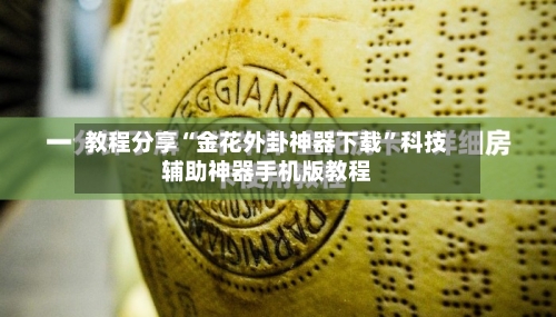 教程分享“金花外卦神器下载”科技辅助神器手机版教程-第2张图片