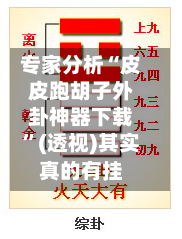 专家分析“皮皮跑胡子外卦神器下载”(透视)其实真的有挂-第3张图片