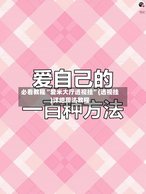 必看教程“爱米大厅透视挂”(透视挂)详细用法教程-第3张图片