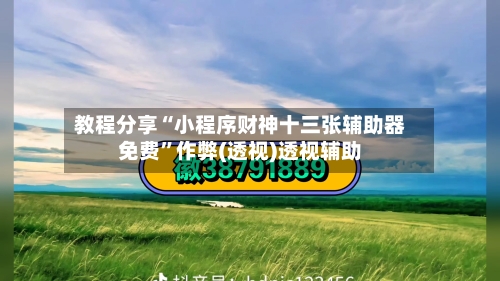 教程分享“小程序财神十三张辅助器免费	”作弊(透视)透视辅助-第2张图片