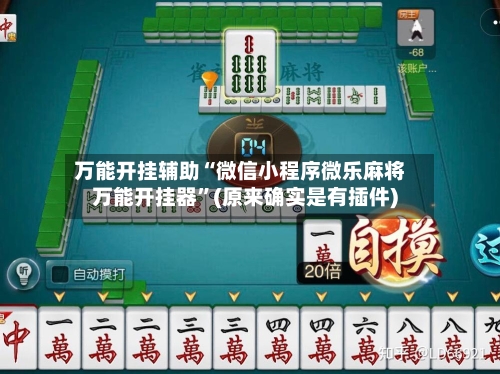 万能开挂辅助“微信小程序微乐麻将万能开挂器”(原来确实是有插件)-第3张图片
