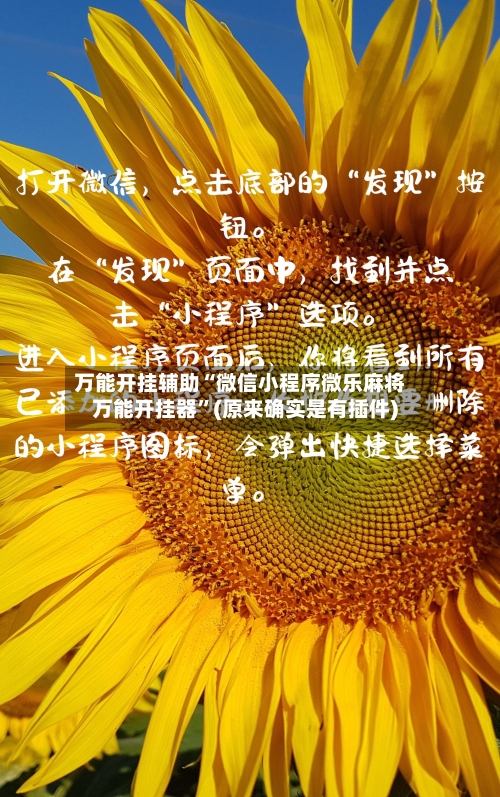 万能开挂辅助“微信小程序微乐麻将万能开挂器”(原来确实是有插件)-第2张图片